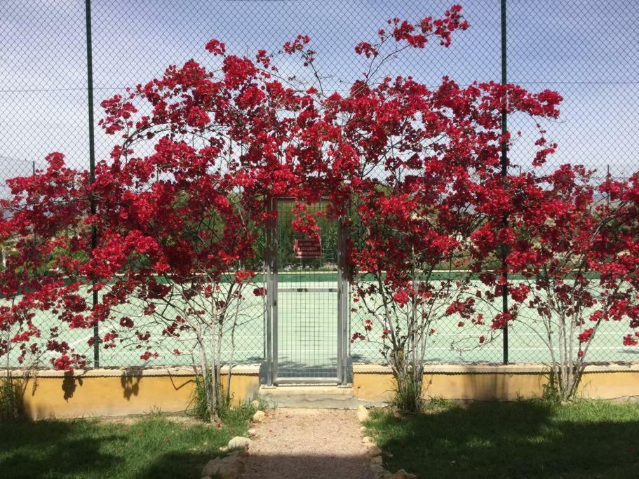 Apartamento Bonalba Διαμέρισμα Mutxamel Εξωτερικό φωτογραφία